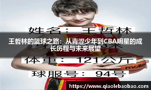 王哲林的篮球之路：从青涩少年到CBA明星的成长历程与未来展望